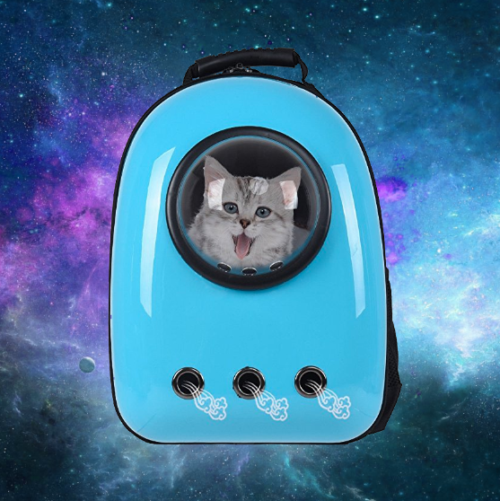 space cat carrier