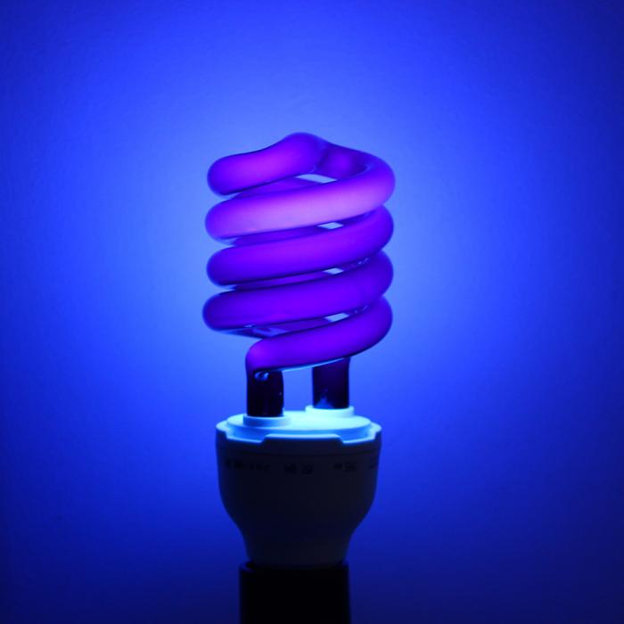 Sunlite Blacklight Bulb