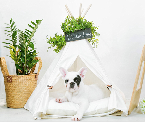 Little Dove Pet Teepee