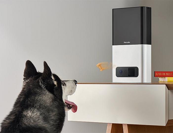 Petcube Bites Pet Camera 