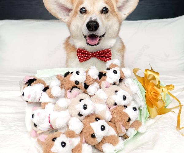 Corgi Bouquet