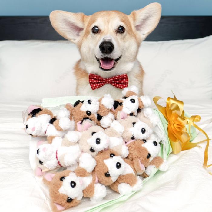 Corgi Bouquet