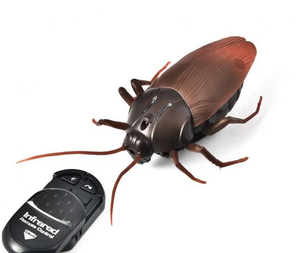 Remote Control Cockroach