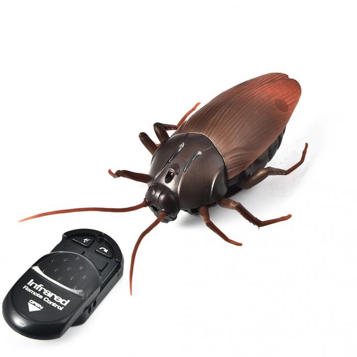 Remote Control Cockroach