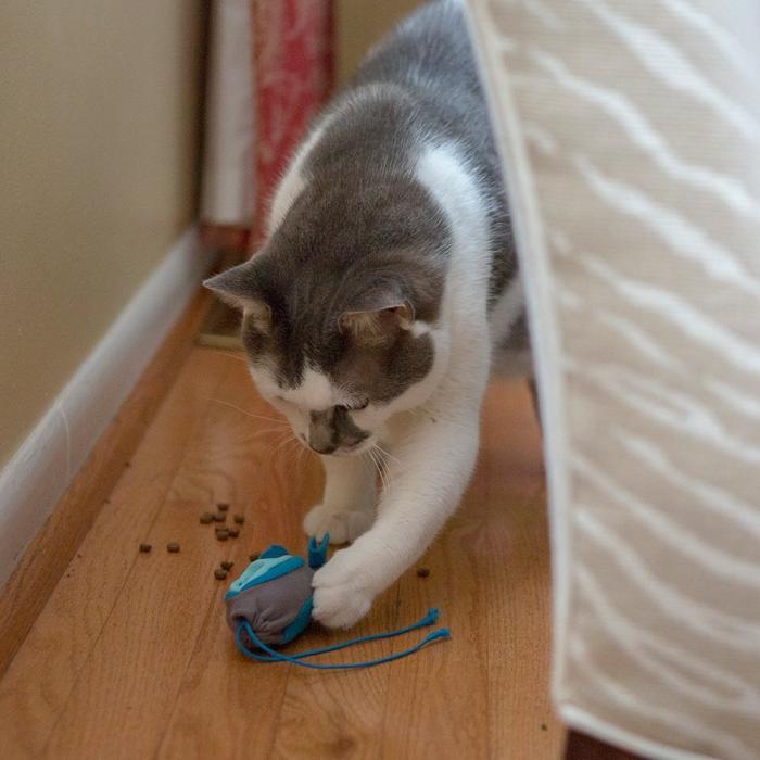 Indoor Hunting Cat Feeder