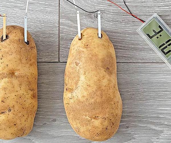 Potato Clock Kit