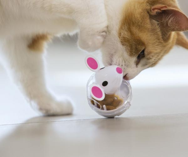 Cat Treat Mouse Toy