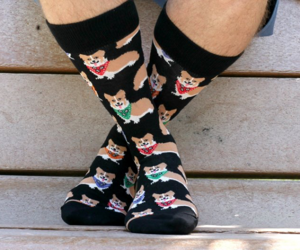 Corgi Socks