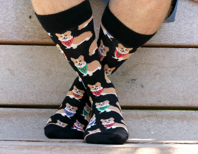 Corgi Socks