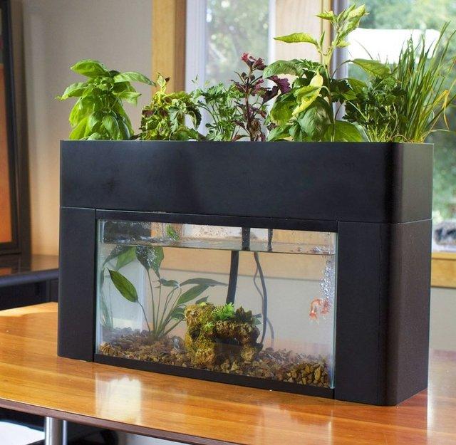 AquaSprouts Garden & Aquarium