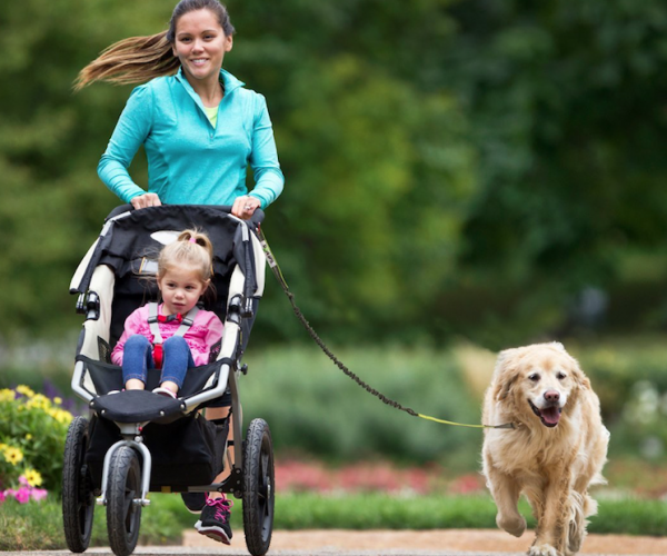 Hands Free Dog Leash