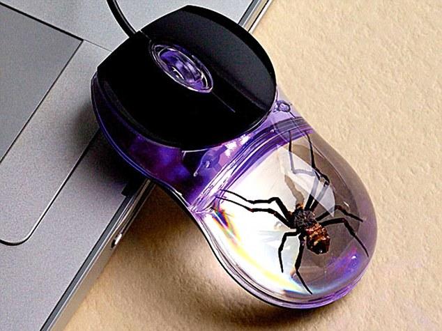 Real Spider Computer Mouse