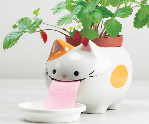 Drinking Animals Planter